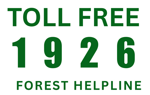 Toll Free - Sikkim Forest Helpline : 1926